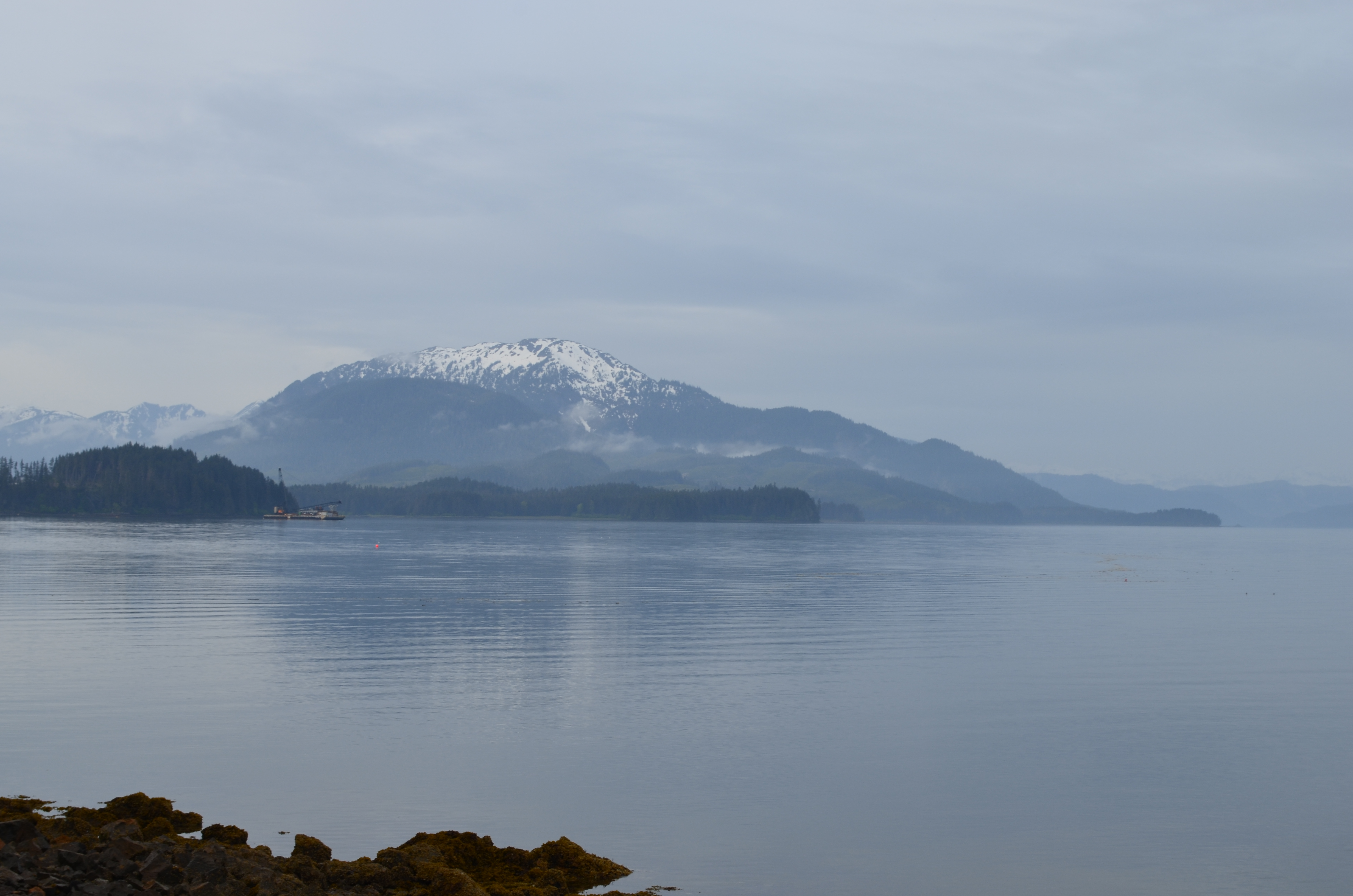 ./2017/08 - Alaska Cruise/10 - Icy Strait Point/DSC_0254.JPG